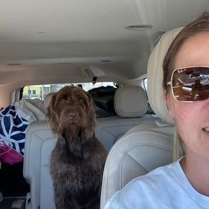 Meet your Posher, Dawn